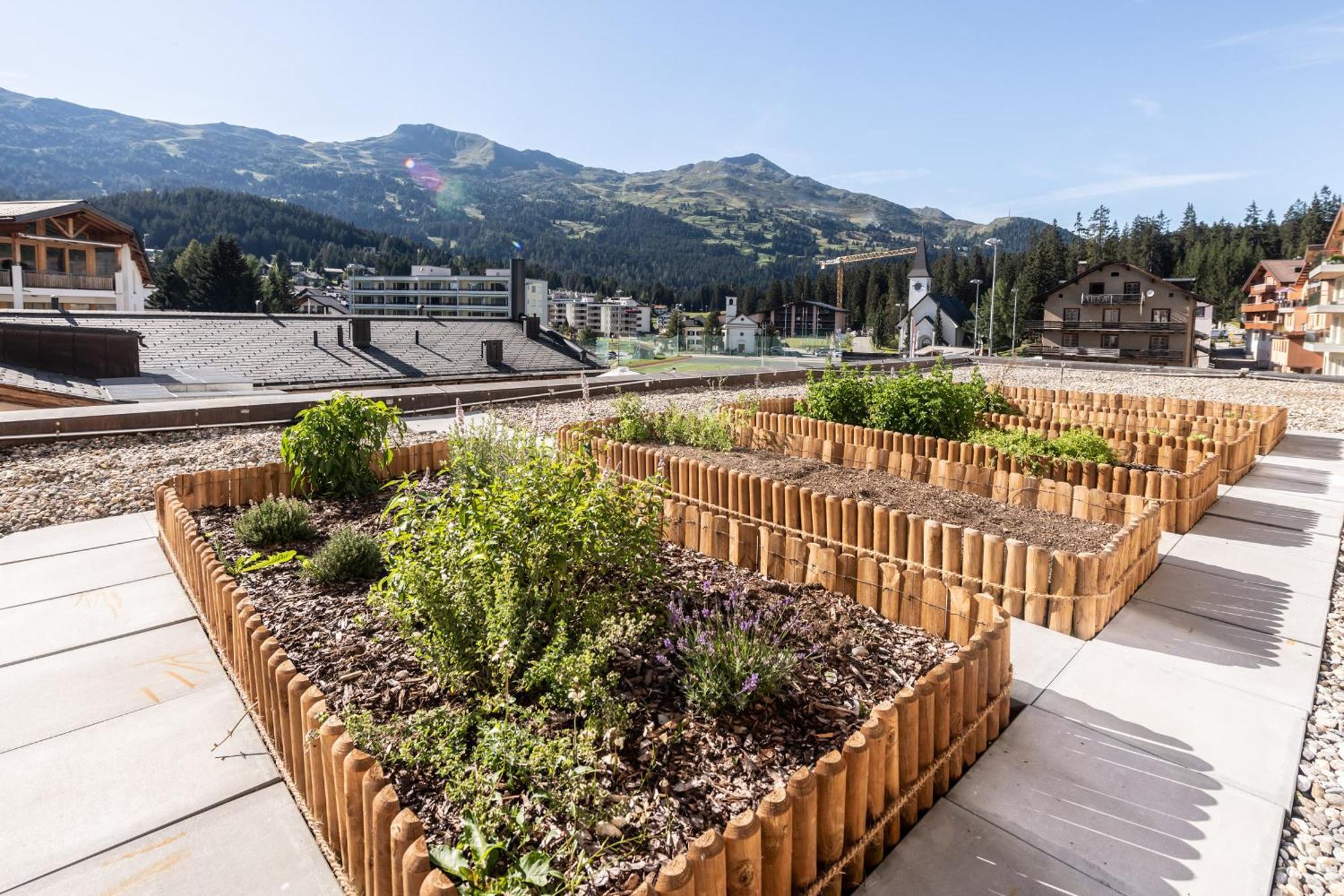 Hotel Lenzerhorn Lenzerheide Dış mekan fotoğraf